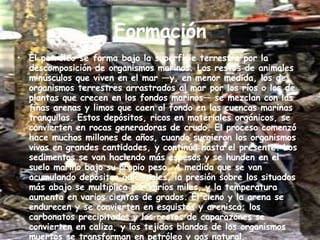El petróleo se forma bajo la superficie terrestre por la descomposición de organismos marinos. Los restos de animales minúsculos que viven en el mar —y, en menor medida, los de organismos terrestres arrastrados al mar por los ríos o los de plantas que crecen en los fondos marinos— se mezclan con las finas arenas y limos que caen al fondo en las cuencas marinas tranquilas. Estos depósitos, ricos en materiales orgánicos, se convierten en rocas generadoras de crudo. El proceso comenzó hace muchos millones de años, cuando surgieron los organismos vivos en grandes cantidades, y continúa hasta el presente. Los sedimentos se van haciendo más espesos y se hunden en el suelo marino bajo su propio peso. A medida que se van acumulando depósitos adicionales, la presión sobre los situados más abajo se multiplica por varios miles, y la temperatura aumenta en varios cientos de grados. El cieno y la arena se endurecen y se convierten en esquistos y arenisca; los carbonatos precipitados y los restos de caparazones se convierten en caliza, y los tejidos blandos de los organismos muertos se transforman en petróleo y gas natural. Formación 
