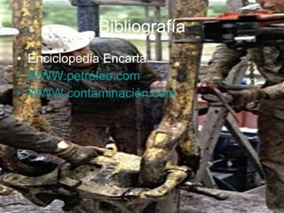 Bibliografía Enciclopedia Encarta WWW.petróleo.com WWW.contaminación.com 