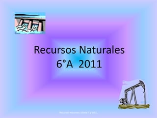 Recursos Naturales
    6°A 2011


     Recursos Naturales Julieta F. y Sol C.
 