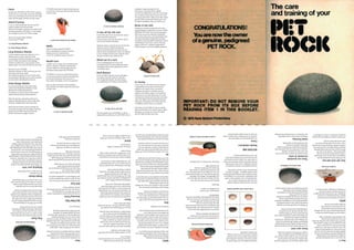 Make Your own Pet Rock part 1: The Manual | PDF