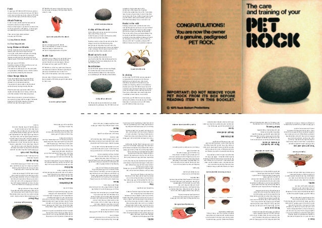 make your own pet rock part 1 the manual