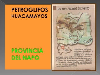PETROGLIFOSHUACAMAYOSPROVINCIA DEL NAPO