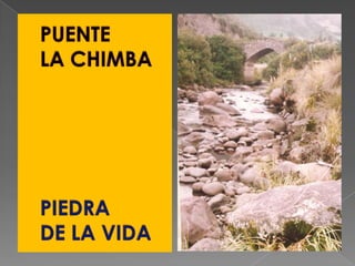 PUENTELA CHIMBAPIEDRA DE LA VIDA