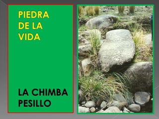 PIEDRADE LAVIDALA CHIMBAPESILLO