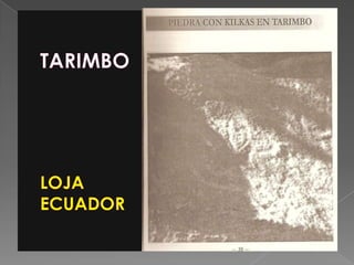 TARIMBOLOJAECUADOR