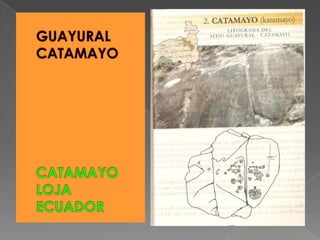 GUAYURAL CATAMAYOCATAMAYOLOJAECUADOR