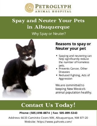 Contact Us Today!
Phone: (505) 898-8874 | Fax: 505-899-5343
Address: 6633 Caminito Coors NW, Albuquerque, NM 87120
Website: https://www.pahvets.com/
Spay and Neuter Your Pets
in Albuquerque
Why Spay or Neuter?
Spaying and neutering can
help significantly reduce
the number of homeless
pets.
Prevents Cancer, Other
Diseases
Reduced Fighting, Acts of
Aggression
Reasons to spay or
Neuter your pet
We are committed to
keeping New Mexico’s
animal population healthy.
 