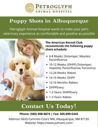 Contact Us Today!
Phone: (505) 898-8874 | Fax: 505-899-5343
Address: 6633 Caminito Coors NW, Albuquerque, NM 87120
Website: https://www.pahvets.com/
Puppy Shots in Albuquerque
Petroglyph Animal Hospital wants to make your pet's
veterinary experience as comfortable and positive as possible
6-8 Weeks: Distemper; Measles;
Parainfluenza
10-12 Weeks: (DHPP) Distemper;
Hepatitis; Parainfluenza; Parvovirus
12-24 Weeks: Rabies
14-16 Weeks: DHPP
12-16 Months: Rabies;
DHPPEvery
1-2 Years: DHPPEvery
1-3 Years: Rabies
The American Kennel Club
recommends the following puppy
shots schedule:
 