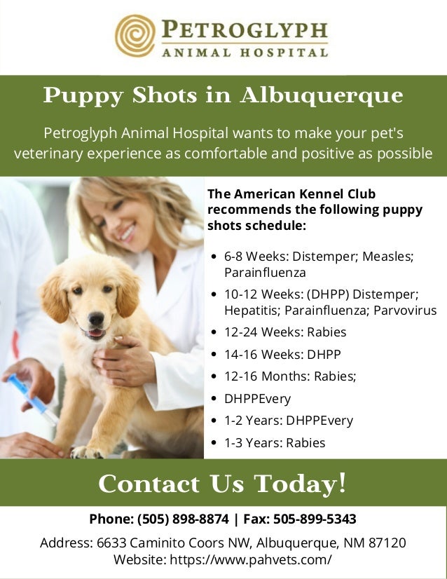 how much do 8 week puppy shots cost