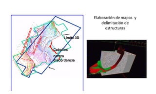 Límite 3D
Caballos
contra
discordancia
Elaboración de mapas y
delimitación de
estructuras
 