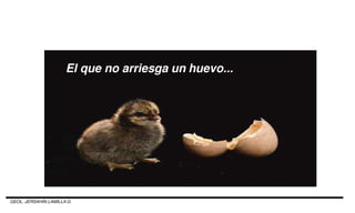 El que no arriesga un huevo...
GEOL. JERSAHIN LAMILLA G.
 