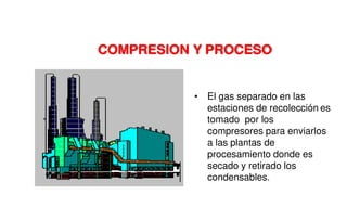 • El gas separado en las
estaciones de recolección es
tomado por los
compresores para enviarlos
a las plantas de
procesamiento donde es
secado y retirado los
condensables.
COMPRESION Y PROCESO
 