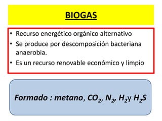 BIOGAS
• Recurso energético orgánico alternativo
• Se produce por descomposición bacteriana
anaerobia.
• Es un recurso renovable económico y limpio
Formado : metano, CO2, N2, H2y H2S
 