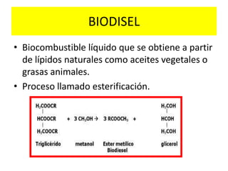 BIODISEL
• Biocombustible líquido que se obtiene a partir
de lípidos naturales como aceites vegetales o
grasas animales.
• Proceso llamado esterificación.
 