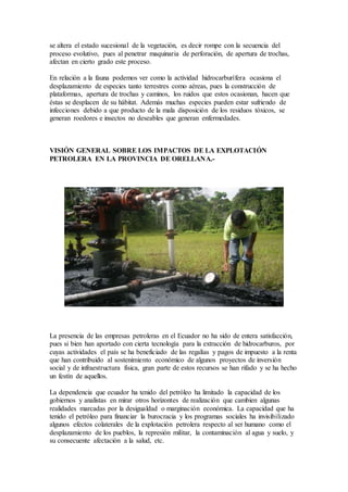 se altera el estado sucesional de la vegetación, es decir rompe con la secuencia del
proceso evolutivo, pues al penetrar maquinaria de perforación, de apertura de trochas,
afectan en cierto grado este proceso.
En relación a la fauna podemos ver como la actividad hidrocarburífera ocasiona el
desplazamiento de especies tanto terrestres como aéreas, pues la construcción de
plataformas, apertura de trochas y caminos, los ruidos que estos ocasionan, hacen que
éstas se desplacen de su hábitat. Además muchas especies pueden estar sufriendo de
infecciones debido a que producto de la mala disposición de los residuos tóxicos, se
generan roedores e insectos no deseables que generan enfermedades.
VISIÓN GENERAL SOBRE LOS IMPACTOS DE LA EXPLOTACIÓN
PETROLERA EN LA PROVINCIA DE ORELLANA.-
La presencia de las empresas petroleras en el Ecuador no ha sido de entera satisfacción,
pues si bien han aportado con cierta tecnología para la extracción de hidrocarburos, por
cuyas actividades el país se ha beneficiado de las regalías y pagos de impuesto a la renta
que han contribuido al sostenimiento económico de algunos proyectos de inversión
social y de infraestructura física, gran parte de estos recursos se han rifado y se ha hecho
un festín de aquellos.
La dependencia que ecuador ha tenido del petróleo ha limitado la capacidad de los
gobiernos y analistas en mirar otros horizontes de realización que cambien algunas
realidades marcadas por la desigualdad o marginación económica. La capacidad que ha
tenido el petróleo para financiar la burocracia y los programas sociales ha invisibilizado
algunos efectos colaterales de la explotación petrolera respecto al ser humano como el
desplazamiento de los pueblos, la represión militar, la contaminación al agua y suelo, y
su consecuente afectación a la salud, etc.
 