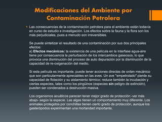 Modificaciones del Ambiente por
Contaminación Petrolera
 Las consecuencias de la contaminación petrolera para el ambiente están todavía
en curso de estudio e investigación. Los efectos sobre la fauna y la flora son los
más perjudiciales, pues a menudo son irreversibles.
Se puede sintetizar el resultado de una contaminación por sus dos principales
efectos:
a) Efectos mecánicos: la existencia de una película en la interfase agua-aire
tiene por consecuencia la perturbación de los intercambios gaseosos, lo que
provoca una disminución del proceso de auto depuración por la disminución de la
capacidad de re-oxigenación del medio.
Si esta película es importante, puede tener acciones directas de orden mecánico
que son particularmente apreciables en las aves. Un ave "empetrolado" pierde su
capacidad de flotación y su aislamiento térmico; reduce también la incubación y
ciertas especies, tales como los pingüinos (especies sin peligro de extinción),
pueden ser condenados a destrucción masiva.
Los organismos acuáticos parecen tener mejor grado de protección -ver más
abajo- según la especie. Las algas tienen un comportamiento muy diferente. Los
animales protegidos por conchillas tienen cierto grado de protección, aunque los
gasterópodos experimentan una mortandad importante.
 