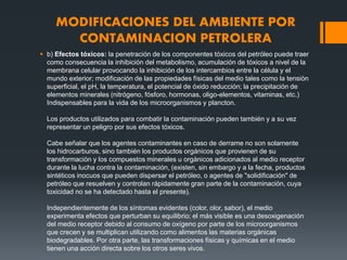 MODIFICACIONES DEL AMBIENTE POR
CONTAMINACION PETROLERA
 b) Efectos tóxicos: la penetración de los componentes tóxicos del petróleo puede traer
como consecuencia la inhibición del metabolismo, acumulación de tóxicos a nivel de la
membrana celular provocando la inhibición de los intercambios entre la célula y el
mundo exterior; modificación de las propiedades físicas del medio tales como la tensión
superficial, el pH, la temperatura, el potencial de óxido reducción; la precipitación de
elementos minerales (nitrógeno, fósforo, hormonas, oligo-elementos, vitaminas, etc.)
Indispensables para la vida de los microorganismos y plancton.
Los productos utilizados para combatir la contaminación pueden también y a su vez
representar un peligro por sus efectos tóxicos.
Cabe señalar que los agentes contaminantes en caso de derrame no son solamente
los hidrocarburos, sino también los productos orgánicos que provienen de su
transformación y los compuestos minerales u orgánicos adicionados al medio receptor
durante la lucha contra la contaminación, (existen, sin embargo y a la fecha, productos
sintéticos inocuos que pueden dispersar el petróleo, o agentes de "solidificación" de
petróleo que resuelven y controlan rápidamente gran parte de la contaminación, cuya
toxicidad no se ha detectado hasta el presente).
Independientemente de los síntomas evidentes (color, olor, sabor), el medio
experimenta efectos que perturban su equilibrio; el más visible es una desoxigenación
del medio receptor debido al consumo de oxígeno por parte de los microorganismos
que crecen y se multiplican utilizando como alimentos las materias orgánicas
biodegradables. Por otra parte, las transformaciones físicas y químicas en el medio
tienen una acción directa sobre los otros seres vivos.
 