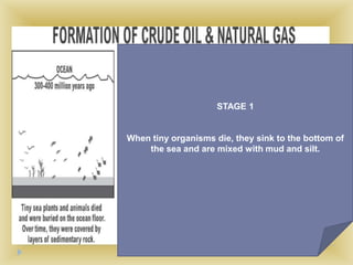 STAGE 1


When tiny organisms die, they sink to the bottom of
    the sea and are mixed with mud and silt.
 