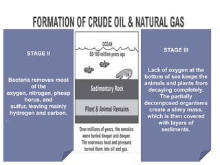 STAGE III
        STAGE II


                             Lack of oxygen at the
                            bottom of sea keeps the
  Bacteria removes most
                            animals and plants from
            of the
                             decaying completely.
oxygen, nitrogen, phosp
                                  The partially
        horus, and
                            decomposed organisms
   sulfur, leaving mainly
                              create a slimy mass,
  hydrogen and carbon.
                             which is then covered
.
                                 with layers of
                                   sediments.
 