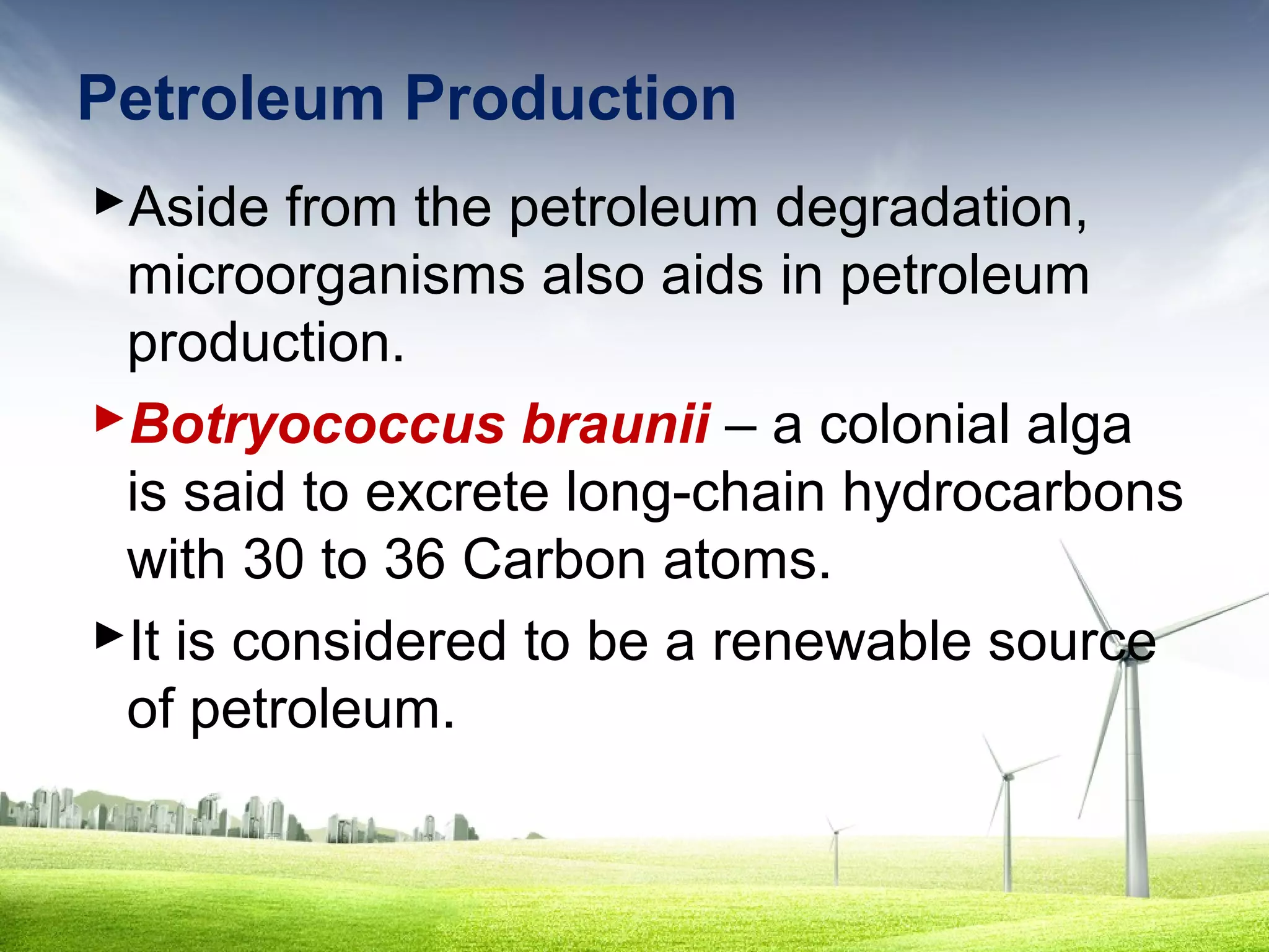 Petroleum Production
Aside from the petroleum degradation,
microorganisms also aids in petroleum
production.
Botryococcus braunii – a colonial alga
is said to excrete long-chain hydrocarbons
with 30 to 36 Carbon atoms.
It is considered to be a renewable source
of petroleum.

 