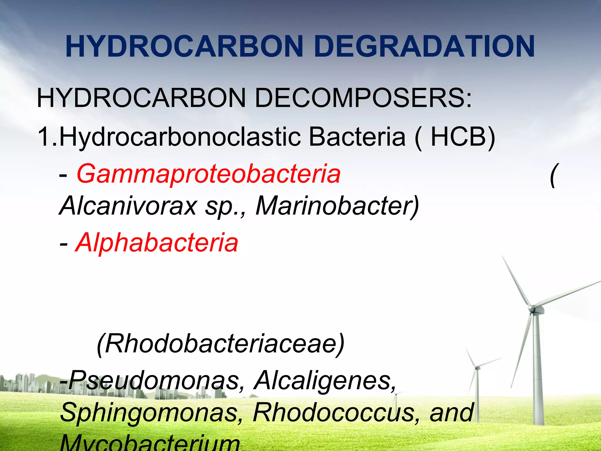 HYDROCARBON DEGRADATION
HYDROCARBON DECOMPOSERS:
1.Hydrocarbonoclastic Bacteria ( HCB)
- Gammaproteobacteria
Alcanivorax sp., Marinobacter)
- Alphabacteria

(Rhodobacteriaceae)
-Pseudomonas, Alcaligenes,
Sphingomonas, Rhodococcus, and

(

 