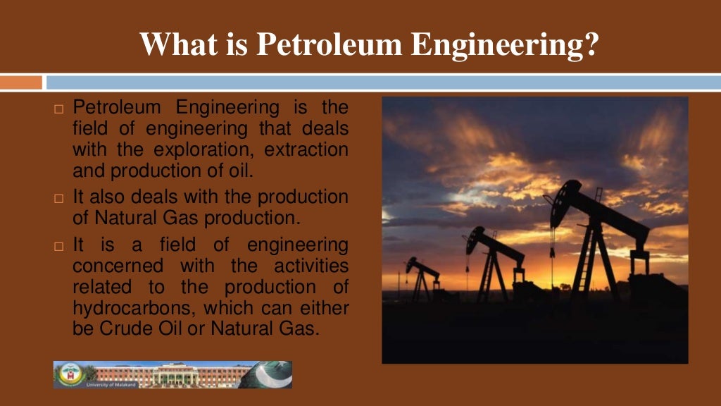 Petroleum Geology/Engineering
