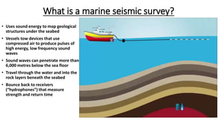 What is a marine seismic survey?
• Uses sound energy to map geological
structures under the seabed
• Vessels tow devices that use
compressed air to produce pulses of
high energy, low frequency sound
waves
• Sound waves can penetrate more than
6,000 metres below the sea floor
• Travel through the water and into the
rock layers beneath the seabed
• Bounce back to receivers
(“hydrophones”) that measure
strength and return time
15
 
