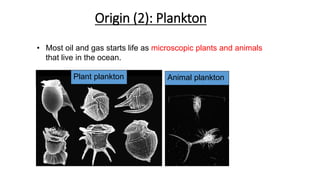 Origin (2): Plankton
• Most oil and gas starts life as microscopic plants and animals
that live in the ocean.
Plant plankton Animal plankton
 