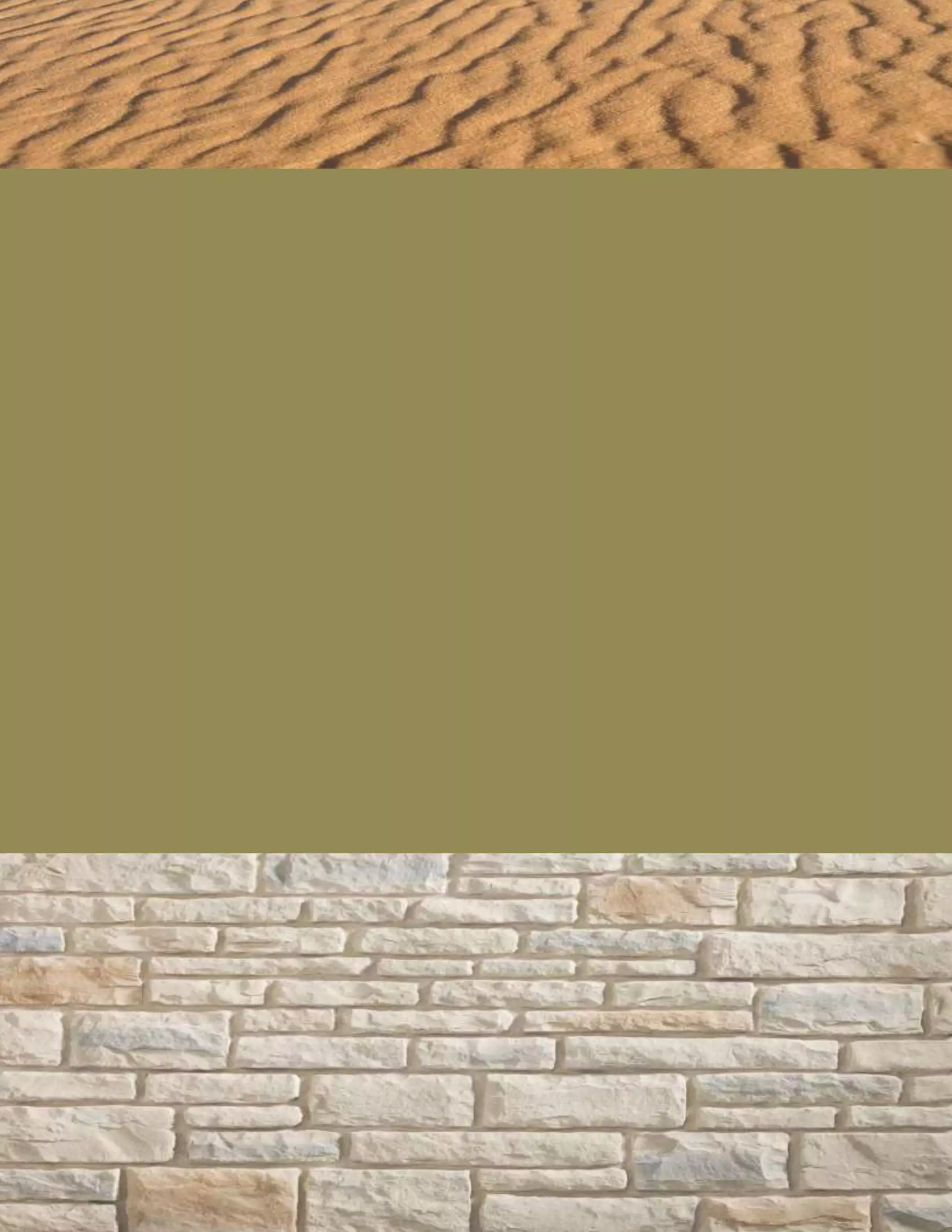 Petroleum Exploration Overview