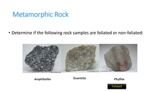 Metamorphic Rock
• Determine if the following rock samples are foliated or non-foliated:
Amphibolite Quartzite Phyllite
Foliated
 