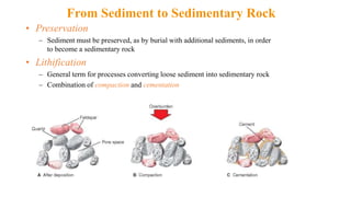 • Preservation
– Sediment must be preserved, as by burial with additional sediments, in order
to become a sedimentary rock
• Lithification
– General term for processes converting loose sediment into sedimentary rock
– Combination of compaction and cementation
From Sediment to Sedimentary Rock
 