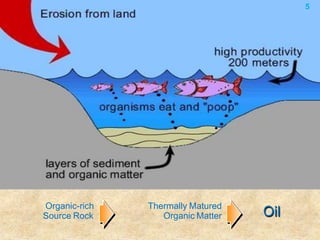 Organic-rich
Source Rock
Thermally Matured
Organic Matter Oil
5
 