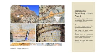 Samanasuk
formation( Hazara
Area )
Figure1.5; Tariq. H et al (2022)
Outcrop photographs of the Samana
Suk Formation show the different
patterns of dolomitization..
. B
An inset image shows the
dolomitization patterns observed.
C
Inset image of patchy brown
dolomites after stratification.
D
Detailed view of strata-bound
dolostone and patchy dolostone in
contact with the host limestone.
E
Burrows are filled with brown
dolomite as a result
 