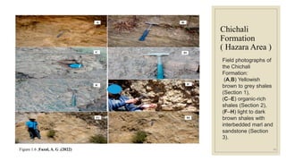 Chichali
Formation
( Hazara Area )
Figure 1.6 ;Fazal, A. G .(2022)
Field photographs of
the Chichali
Formation:
(A,B) Yellowish
brown to grey shales
(Section 1),
(C–E) organic-rich
shales (Section 2),
(F–H) light to dark
brown shales with
interbedded marl and
sandstone (Section
3).
16
 