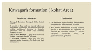 Kawagarh formation ( kohat Area)
Locality and Litho-facies
◦ Kawagarh Formation Kawagarh Hills, District
Attock
◦ It consist of dark marl and cleaved calcareous
shale which weather light grey, brownish grey and
nodular argillaceoes limestone in westerly
exxtension and on eastern side dolomitic
limestone occurs.
◦ Tsukail Tsuk Menber:- A grey thick to massive
bedded, excarpment forming limestone.
◦ Chalor Silli Member:- A light grey, olive grey
medium bedded limestone with shale and marl
intercalation.
Fossil content
◦ The formation is poor in mega fossilshowever
collignoceratid ammonoids are recorded.
◦ Also smaller foraminifers including different
species of Globotruncana (G. lapparenti, G.
fornicata, G. concavata carinata, G. elevata-
calcarata), Heterohelix reussi, H.
globocarinatam H. globulosa.
20
 