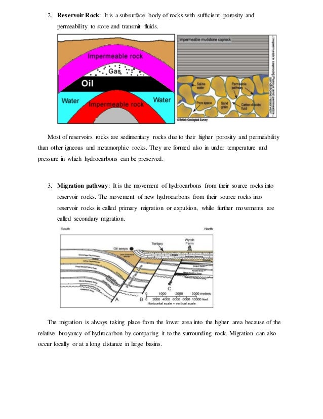 Petroleum system