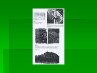 petrologi-batuan-beku1.ppt