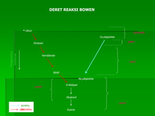 Olivin
Ca-plagioklas
Piroksen
Hornblende
Biotit
Na-plagioklas
K-feldspar
Muskovit
Kuarsa
Temperatur
menurun
ultramafik
gabro
diorit
granit
syenit
kontinu
diskontinu
DERET REAKSI BOWEN
 