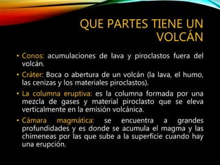 QUE PARTES TIENE UN
VOLCÁN
• Conos: acumulaciones de lava y piroclastos fuera del
volcán.
• Cráter: Boca o abertura de un volcán (la lava, el humo,
las cenizas y los materiales piroclastos).
• La columna eruptiva: es la columna formada por una
mezcla de gases y material piroclasto que se eleva
verticalmente en la emisión volcánica.
• Cámara magmática: se encuentra a grandes
profundidades y es donde se acumula el magma y las
chimeneas por las que sube a la superficie cuando hay
una erupción.
 