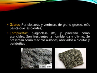 • Gabros. Rcs obscuras y verdosas, de grano grueso, más
básica que las dioritas,
• Compuestas: plagioclasa (Bs) y piroxeno como
esenciales. Son frecuentes la hornblenda y olivino. Se
presentan como macizos aislados, asociados a dioritas y
peridotitas
 
