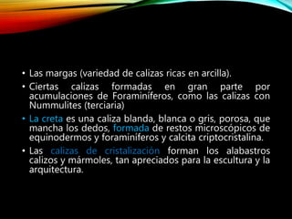 • Las margas (variedad de calizas ricas en arcilla).
• Ciertas calizas formadas en gran parte por
acumulaciones de Foraminíferos, como las calizas con
Nummulites (terciaria)
• La creta es una caliza blanda, blanca o gris, porosa, que
mancha los dedos, formada de restos microscópicos de
equinodermos y foraminíferos y calcita criptocristalina.
• Las calizas de cristalización forman los alabastros
calizos y mármoles, tan apreciados para la escultura y la
arquitectura.
 