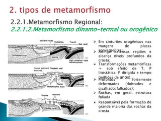  Em cinturões orogênicos nas
margens de placas
convergentes;
2.2.1.Metamorfismo Regional:
2.2.1.2.Metamorfismo dínamo-termal ou orogênico
 Responsável pela formação de
grande maioria das rochas da
crosta
 Rochas, em geral, estrutura
foliada
 Protólitos fortemente
deformados (dobrados e
cisalhado/falhados);
 Transformações metamórficas
⇒ sob efeito de T, P
litostática, P dirigida e tempo
(milhões de anos);
 Aitinge extensas regiões e
alcança níveis profundos da
crosta;
 