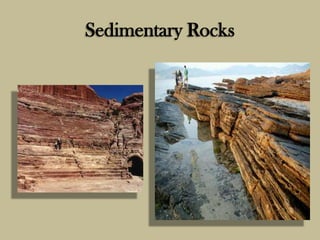 Sedimentary Rocks
 