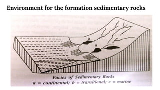 Environment for the formation sedimentary rocks
 