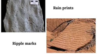 Rain prints
Ripple marks
 