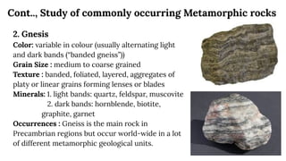 Cont.., Study of commonly occurring Metamorphic rocks
2. Gnesis
Color: variable in colour (usually alternating light
and dark bands (“banded gneiss”))
Grain Size : medium to coarse grained
Texture : banded, foliated, layered, aggregates of
platy or linear grains forming lenses or blades
Minerals: 1. light bands: quartz, feldspar, muscovite
2. dark bands: hornblende, biotite,
graphite, garnet
Occurrences : Gneiss is the main rock in
Precambrian regions but occur world-wide in a lot
of different metamorphic geological units.
 