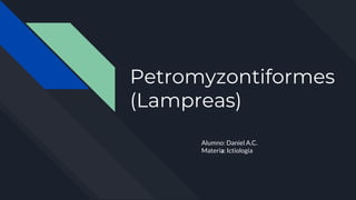 Petromyzontiformes
(Lampreas)
Alumno: Daniel A.C.
Materia: Ictiologia
 