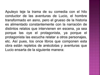 Apuleyo teje la trama de su comedia con el hilo
conductor de las aventuras de Lucio, el hombre
transformado en asno, pero el grueso de la historia
es alimentado constantemente con la narración de
distintos relatos que intervienen en escena, ya sea
porque las oye el protagonista, ya porque el
protagonista las escucha relatar a otros personajes,
etc. Así pues, los once libros que componen esta
obra están repletos de anécdotas y aventuras que
Lucio ensarta de la siguiente manera:
 