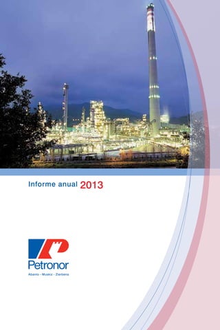 Informe anual 2013 
 