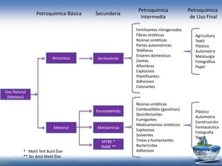 Gas Natural
(Metano)
Amoniaco
Metanol
Acrilonitrilo
Formaldehido
Metilaminas
MTBE *
TAME **
Fertilizantes nitrogenados
Fibras sintéticas
Resinas sintéticas
Partes automotrices
Teléfonos
Enseres domésticos
Llantas
Alfombras
Explosivos
Plastificantes
Adhesivos
Colorantes
Resinas sintéticas
Combustibles (gasolinas)
Desinfectantes
Fumigantes
Medicamentos sintéticos
Explosivos
Solventes
Tintas y humectantes
Bactericidas
Adhesivos
Agricultura
Textil
Plástico
Automotriz
Metalurgia
Fotográfica
Papel
Plástico
Automotriz
Construcción
Farmacéutica
Fotografía
Textil
* Metil Tert Butil Éter
** Ter Amil Metil Éter
Petroquímica Básica Secundaria
Petroquímica
Intermedia
Petroquímica
de Uso Final
 